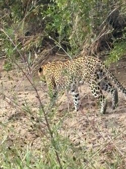 IMG_7980.JPEG