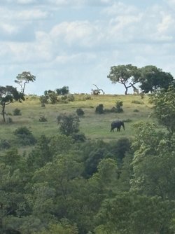 IMG_7989.JPEG