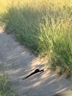IMG_7999.JPEG