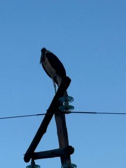 IMG_8011.JPEG