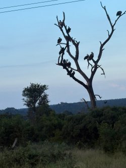 IMG_8013.JPEG
