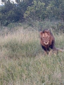 IMG_8016.JPEG