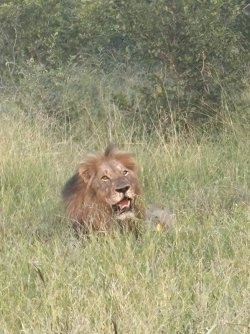 IMG_8019.JPEG