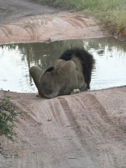 IMG_8020.JPEG