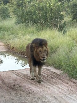 IMG_8023.JPEG