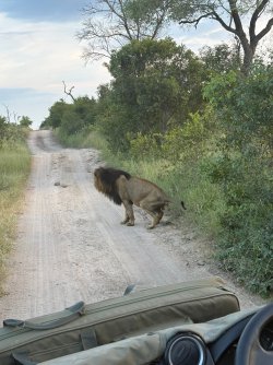 IMG_8026.JPEG