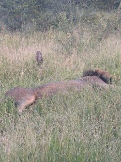 IMG_8031.JPEG