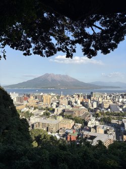 IMG_5379.jpeg