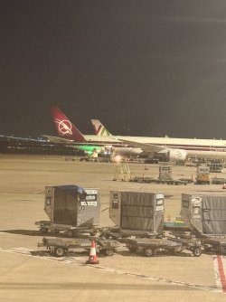 24726094-E68C-4AFD-9EE2-75AF37CB47BC_1_105_c.jpeg