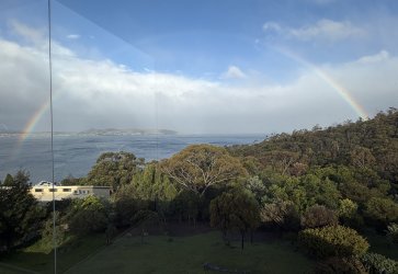 IMG_3296.jpeg