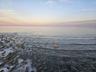 1000053339.jpg