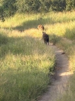 IMG_8051.JPEG