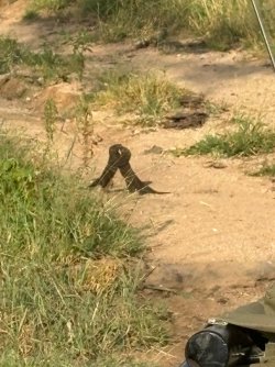IMG_8060.JPEG IMG_8060.JPEG
