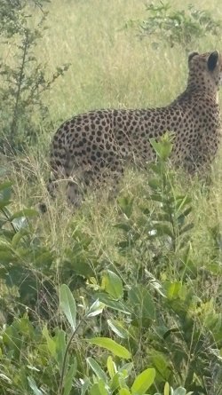 IMG_8073.JPEG