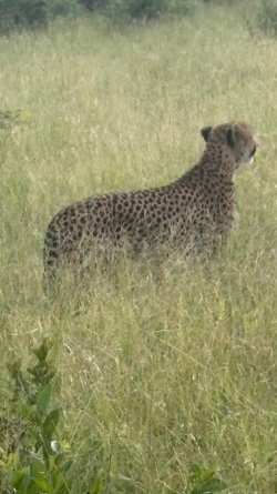 IMG_8076.JPEG