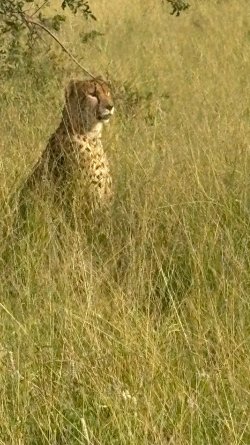 IMG_8077.JPEG