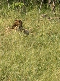 IMG_8088.JPEG IMG_8088.JPEG