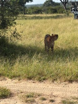 IMG_8097.JPEG