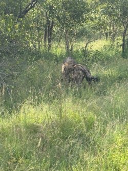 IMG_8100.JPEG