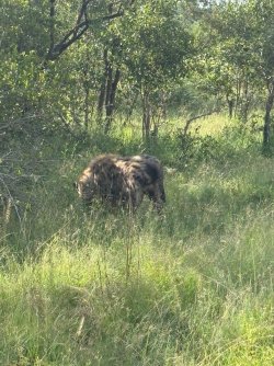 IMG_8101.JPEG