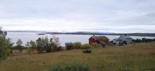 1791871614040.jpeg 1791871614040.jpeg