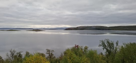 1791871632974.jpeg 1791871632974.jpeg