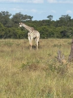 IMG_8116.JPEG