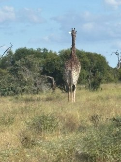 IMG_8117.JPEG
