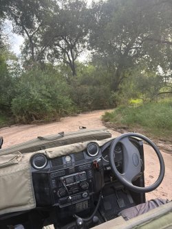 IMG_8123.JPEG
