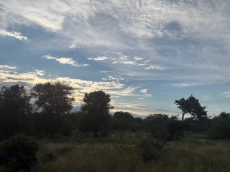 IMG_8154.JPEG