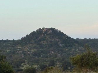 IMG_8161.JPEG