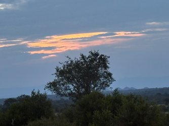 IMG_8169.JPEG