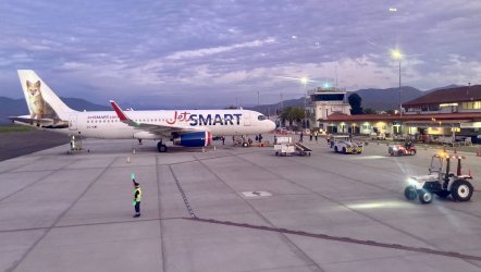 IMG_6413.jpeg