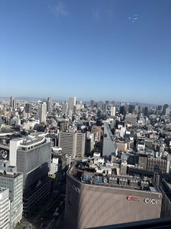 IMG_5510.jpeg