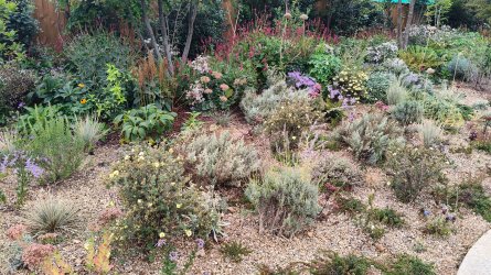 115.jpg
