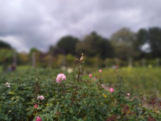 IMG20260914141628.jpg