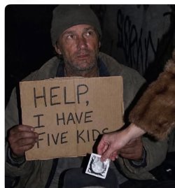 1792038563016.jpeg