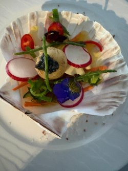 IMG_8261.JPEG