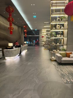IMG_8288.JPEG