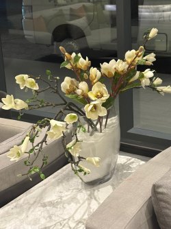 IMG_8289.JPEG