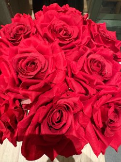 IMG_8290.JPEG