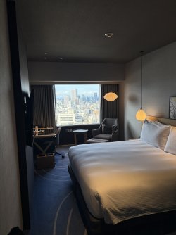 IMG_5496.jpeg IMG_5496.jpeg