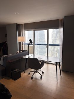 IMG_5530.jpeg IMG_5530.jpeg