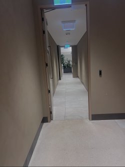 IMG_3997.jpeg IMG_3997.jpeg