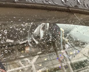 IMG_6487.jpeg IMG_6487.jpeg