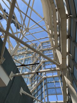 IMG_6501.jpeg