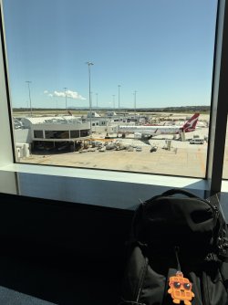 IMG_0282.jpeg IMG_0282.jpeg