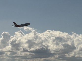 IMG_2922.jpeg