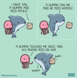 FB_IMG_1792305639174.jpg