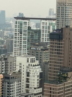 IMG_8354.JPEG